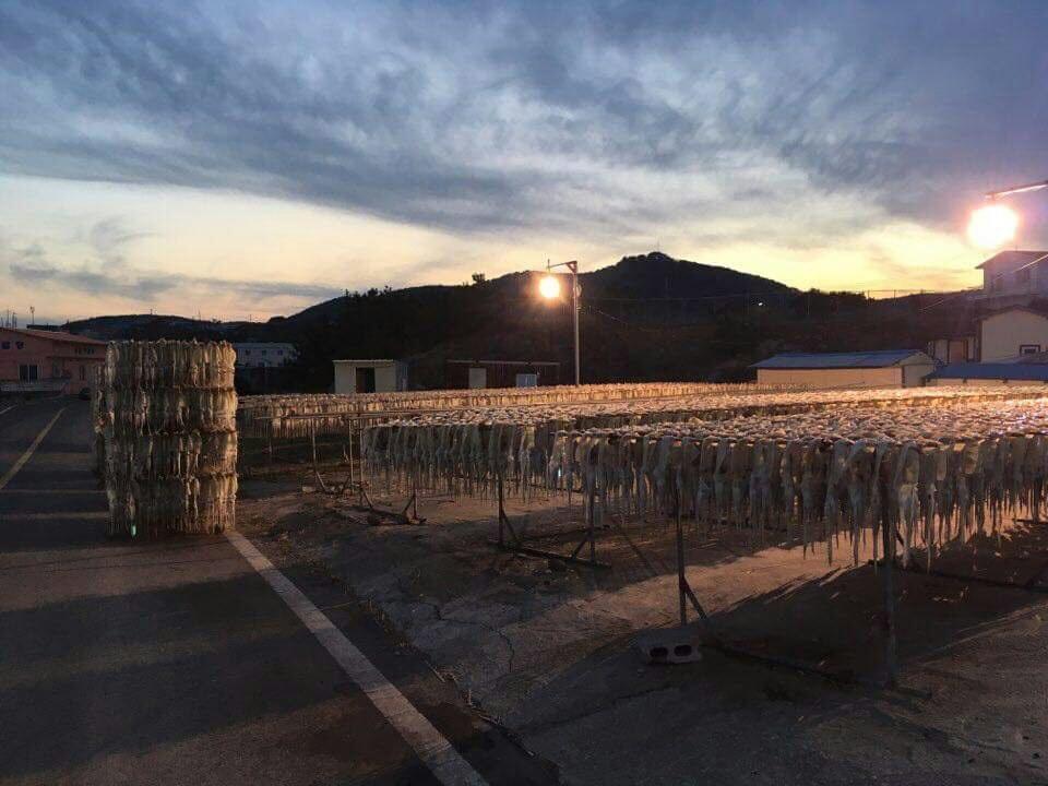 Tobang Red Clay Pension Pohang Buitenkant foto